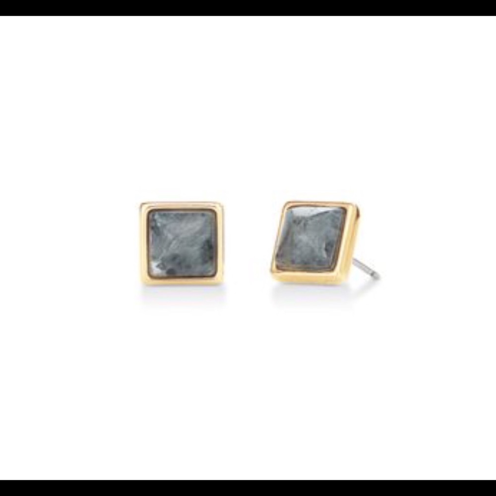Stella & Dot Keep Collective Lavrikite Earrings
